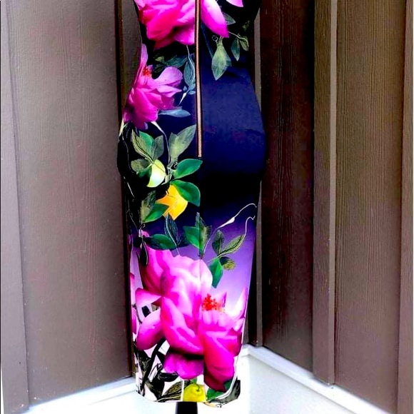 Ted Baker dress - Picture 4 of 8